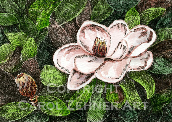Magnolia Watercolor Art